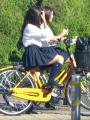 通学　自転車　女子高生